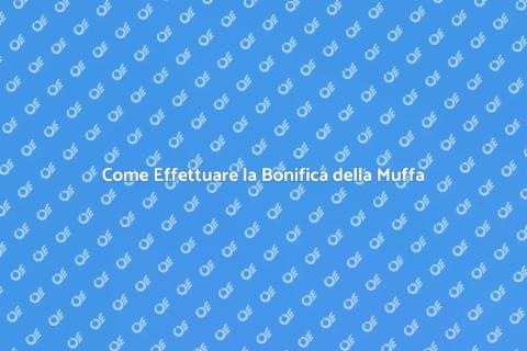 Bonifica della Muffa: Guida Completa