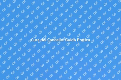 Manutenzione Cancello: Sicurezza e Stile