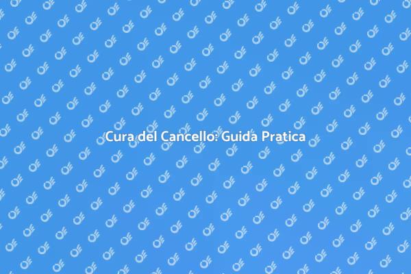Cancello Sempre Perfetto: Ecco Come