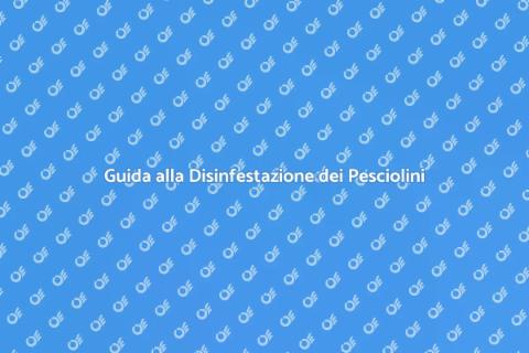 Disinfestare dai Pesciolini d'Argento