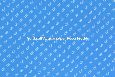 Acquario per Pesci d'Acqua Fredda