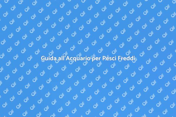 Acquario per Pesci: Guida Essenziale