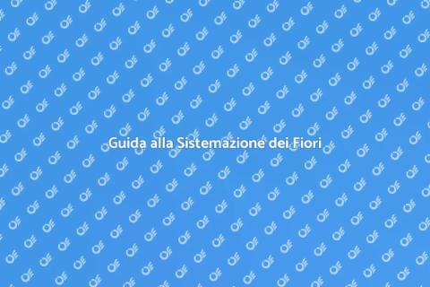 Sistemazione Vasi e Fiori in Giardino
