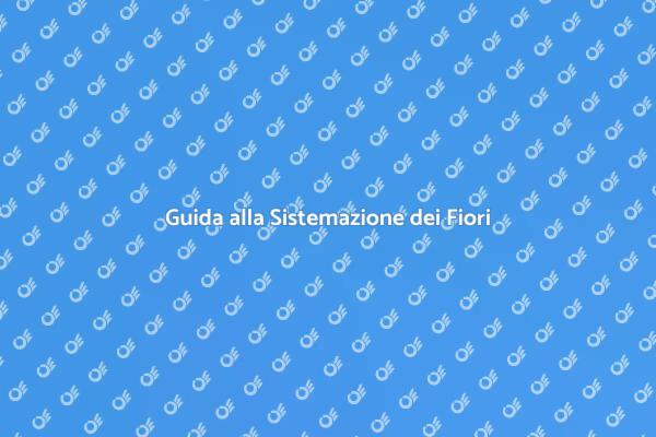Vasi e Fiori: Abbellisci il Tuo Giardino