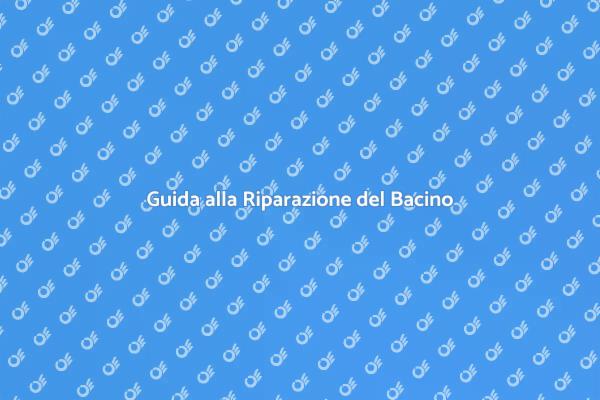 Riparazione Bacino: Guida per Giardini