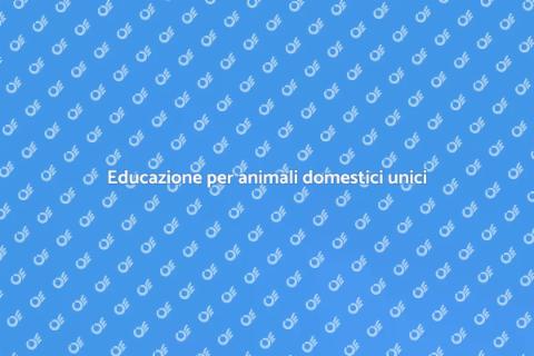 Allenamento animali domestici unici