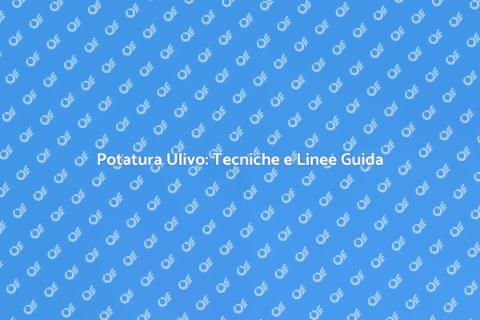 Potatura dell'Ulivo: Guida Essenziale