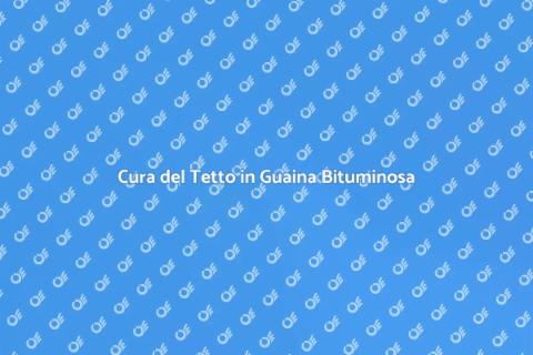 Manutenzione Tetto in Guaina Bituminosa