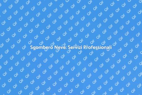 Assistenza Sgombero Neve Inverno