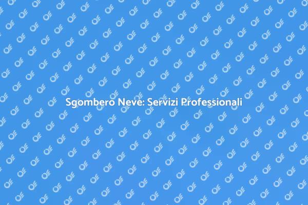 Sgombero Neve: Un Inverno Sicuro