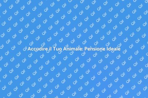 Pensione per Animali: Accudire con Amore