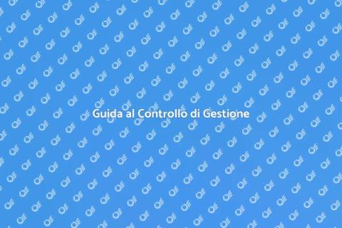 Responsabile del Controllo di Gestione