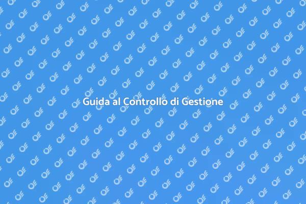 Importanza del Controllo di Gestione