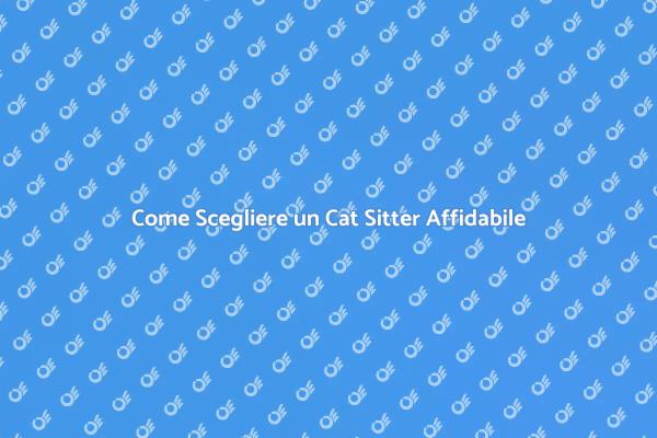 Il Miglior Cat Sitter per il Tuo Gatto