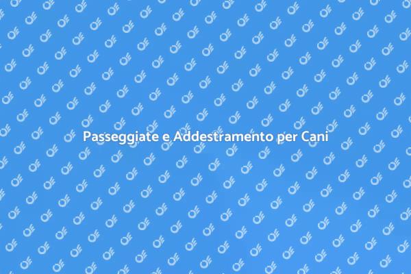 Migliora il tuo cane con dog walking