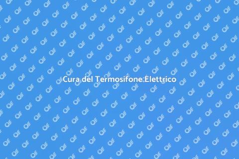 Manutenzione Termosifone Elettrico