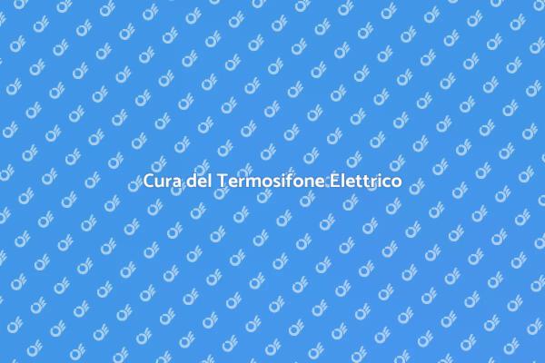 Manutenzione Efficace del Termosifone
