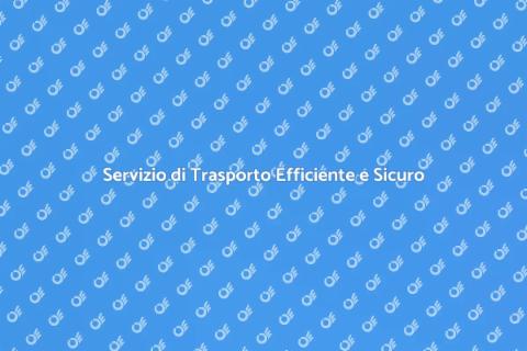 Trasporto Persone e Merci Professionale
