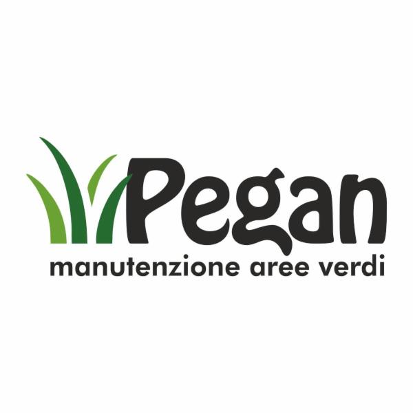 Pegan Manutenzione  - Foto 1