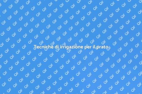 Irrigazione per un prato rigoglioso