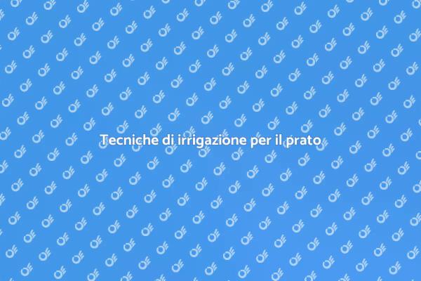 Come irrigare il prato in modo efficace