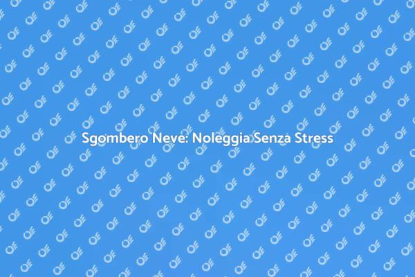 Noleggiare Sgombero Neve Senza Problemi
