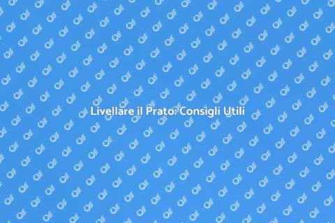 Livellamento Prato: Guida Essenziale
