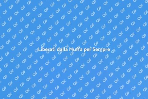 Rimozione Definitiva della Muffa