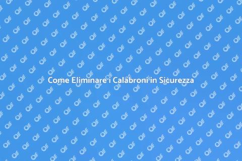 Disinfestare Calabroni in Sicurezza