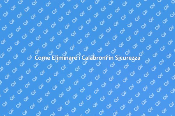 Disinfestazione Sicura dei Calabroni