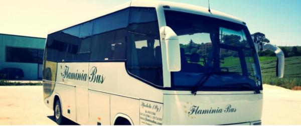 Flaminia Bus S.r.l. Autonoleggio  - Foto 4