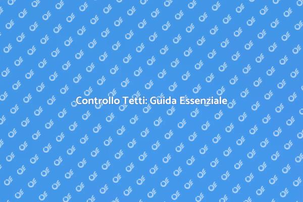 Sicurezza Tetti: Come Ispezionare