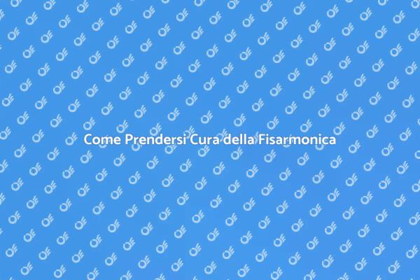 Manutenzione Ottimale della Fisarmonica