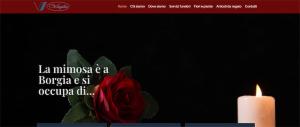 Webmt service - Foto 6