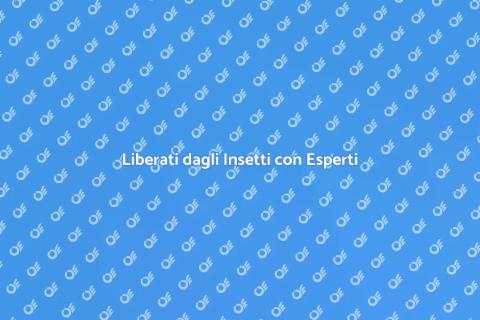 Disinfestazione Professionale Insetti