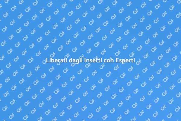 Proteggi la Tua Casa dagli Insetti