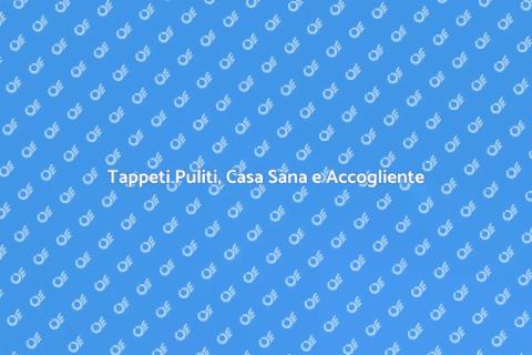 Pulizia Professionale Tappeti Efficace