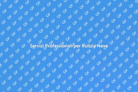 Pulizia della Neve: Assistenza Fondamentale