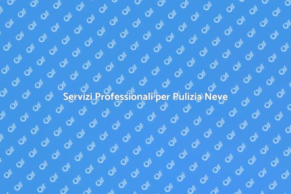 Pulizia Neve: Sicurezza e Accessibilità