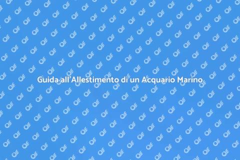 Allestire un Acquario Marino Perfetto