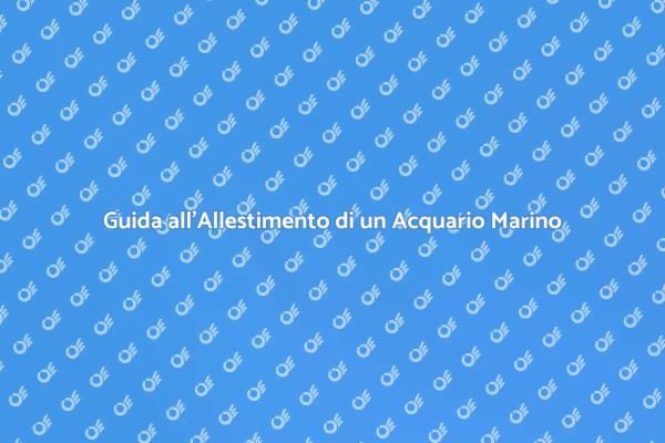 Come Creare un Acquario Marino Ideale