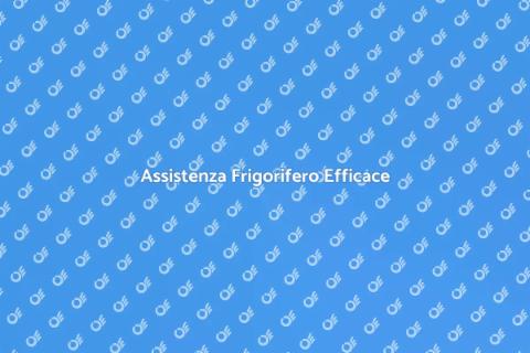 Riparazione Frigorifero Professionale