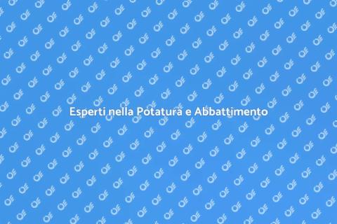 Potatura e Abbattimento Alberi Professionali