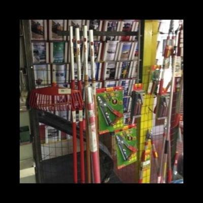 Autocarri Giampiero Mazzoli  - Foto 4