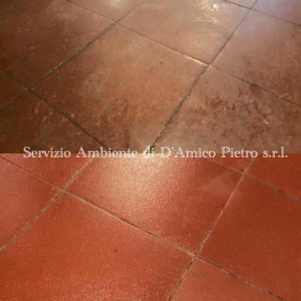 Impresa di Pulizia Servizio Ambiente Srl  - Foto 4