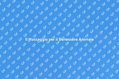 Massaggiatore per il Benessere degli Animali