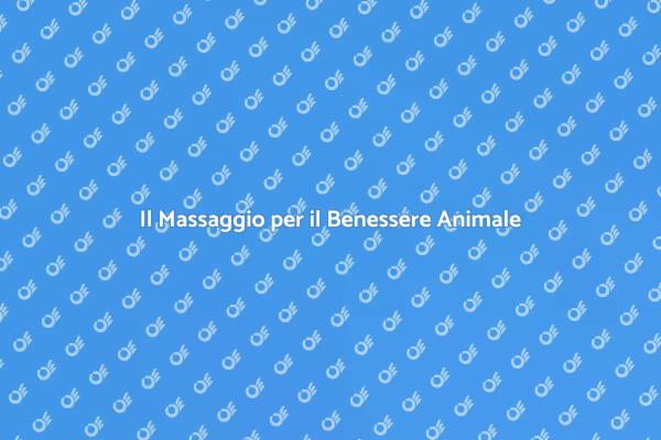 L'importanza del Massaggio per Animali