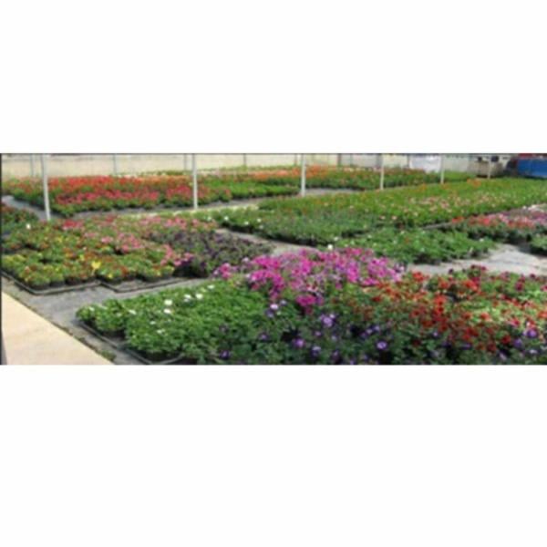 Il Giardino nel Canneto  - Foto 2