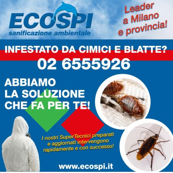 ECOSPI SRL   SANIFICAZIONE AMBIENTALE - Foto 7