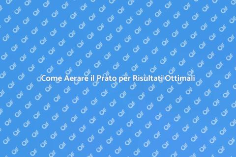 Aerare il Prato per un Verde Perfetto